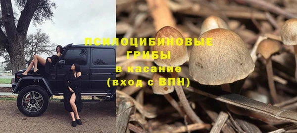 мескалин Абаза