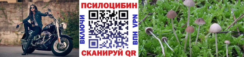 Галлюциногенные грибы прущие грибы  как найти   Донецк 