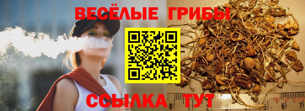 Донецк  Псилоцибиновые грибы Magic Shrooms  Вход с VPN 